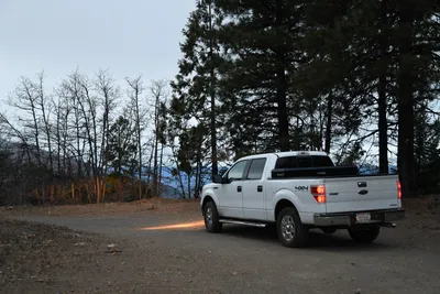 DSC_0153 (Large).JPG